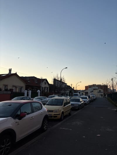 The image depicts a residential street scene in Ivry-sur-Seine, France, during twilight hours, characterized by a soft, warm gradient in the sky from light blue overhead to yellow and orange near the horizon. The street, paved with asphalt, runs from the foreground into the distance, with a slight upward incline.

On the left side of the street, a line of parked passenger vehicles extends into the background. The closest vehicle is a white Citroën C3 Aircross with a distinct red roof and red accents on the side mirrors. Behind it, a light yellow Fiat Panda is parked. Further down, various other sedans and hatchbacks are visible. On the right side of the street, a narrower sidewalk parallels the road, separated by a curb. A long line of additional parked cars is visible along this right curb, extending towards the background. No people are visible within the frame.

The left side of the street is lined with primarily two-story residential houses featuring pitched, tiled roofs, some with chimneys. One chimney on the leftmost house has a dark bird perched on its top. Bare deciduous trees and shrubs are interspersed between the houses and along the right side of the street, indicating a colder season. Multiple streetlights with curved poles are visible, illuminating the street and sidewalk. In the far distance on the right, taller, multi-story apartment buildings can be observed, suggesting a denser urban area further along the road. Several small, dark birds are visible in flight across the sky, with three appearing in the left-center and one in the upper right quadrant.