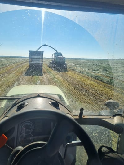 The image shows an agricultural scene, likely taken from the inside of a moving tractor in a rural area of Lomnitsa, Bulgaria. In the foreground, there is a partial view of the tractor's steering wheel, dashboard, and interior elements. Through the windshield, a field of cut crops, likely hay or straw, is visible. A harvesting machine is in the process of transferring the cut material through a chute into a trailer being towed behind it. The sky is clear and blue, suggesting a sunny day. The overall scene depicts agricultural work during harvest season.