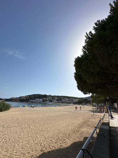 This is a photograph taken at Platja Gran, the main beach in Sant Feliu De Guíxols, Spain, on a sunny day. The image is dominated by a wide expanse of golden sand in the foreground, showing footprints and scattered shadows. A white net, likely for a beach sport, stretches across the mid-ground of the sand.
Beyond the net, the beach continues towards the water, dotted with numerous colorful umbrellas and a scattering of beachgoers. The sea is calm and blue, with several small boats visible on the surface. In the background, a hillside is densely covered with buildings, hotels, and lush green vegetation, characteristic of the coastal town. A large pine tree on the right side of the frame partially obscures the bright sky and the sun, casting a shadow onto the foreground.
Several people are visible on the beach. Two individuals are walking towards the net in the mid-ground, and a group of people are standing or sitting near the water's edge. On the promenade to the right, there are more people, some appearing to be walking. A blue public telescope stands on the promenade, along with a metal railing. The overall impression is of a popular, vibrant beach destination.