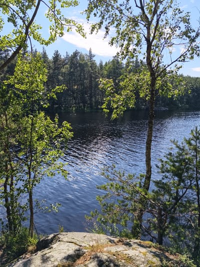 The image depicts a serene lake scene framed by trees and rocks. The water is dark blue and rippled, reflecting the bright sunlight. The background features a dense forest of green trees. In the foreground, large grey rocks are visible, partially covered in moss and dry grass. Several trees with light green leaves stand in front of the water, with branches reaching out towards the viewer. The sky above is a clear blue with scattered white clouds. The location is identified as a lake in Norrköping, Sweden, likely a natural area within or on the outskirts of the city, given the presence of a lake and surrounding forest. There are no people or animals visible in the image. The overall impression is one of a peaceful, natural landscape.