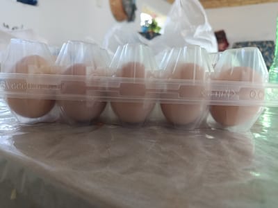 The image shows a close-up, low-angle view of a dozen carton of brown eggs. The carton is made of clear plastic and is partially open, revealing six eggs. The eggs are light brown and sit in individual molded cups within the carton. The carton is placed on a surface that appears to be covered with a light-colored fabric, possibly a tablecloth, which is itself covered by a layer of clear plastic wrap. The background is out of focus but suggests an indoor setting with some light sources, possibly indicating daytime. There are some vague shapes in the background that could be furniture or other household items. Some embossed text is visible on the plastic carton, including what appears to be "6 1-H-S" and "0050". The overall impression is of a common household item, likely in a kitchen or dining area. The location context of Ak-Başat, Kyrgyzstan, does not provide any readily discernible visual cues within the image itself.