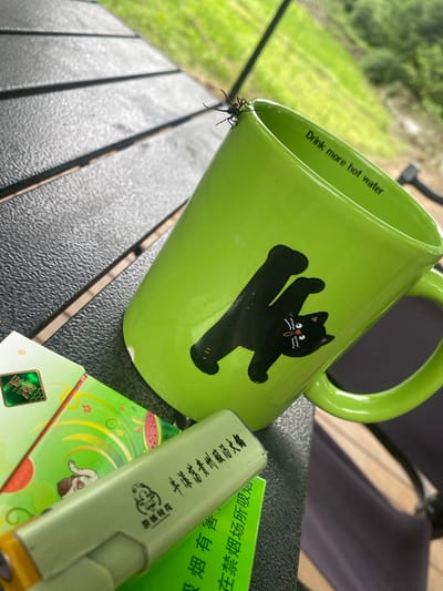 This media file captures a close-up, angled view of a bright green mug with a black cat illustration on it, placed on a textured dark surface, likely a table. The mug is inscribed with the English text "Drink more hot water". Adjacent to the mug is a light green cylindrical object, possibly a vape pen or a similar device, with Chinese text and a cartoonish drawing of a pig. Beneath the vape pen, a green packet with Chinese text and floral designs is partially visible. A spider is precariously perched on the rim of the mug, its spindly legs reaching out. In the blurred background, lush green foliage suggests an outdoor setting, possibly a garden or a park, with hints of outdoor furniture. The lighting and the soft focus imply it might be daytime, with natural light illuminating the scene. The combination of everyday objects and the unexpected presence of a spider creates a slightly whimsical or perhaps even humorous scene. The visible Chinese text on the vape pen and packet indicate a potential location context of Dujiangyan City, China.