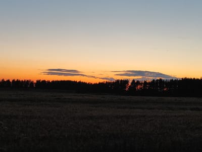 A wide shot captures a rural landscape at dusk. The sky displays a gradient of colors, transitioning from a pale blue at the top to a vibrant orange near the horizon, indicating the sun has recently set. A line of dark trees forms a silhouette against the colorful sky, separating it from the foreground. Below the trees, a field of dark, textured vegetation, likely grass or crops, fills the bottom half of the image. The overall scene is serene and devoid of human presence or activity.