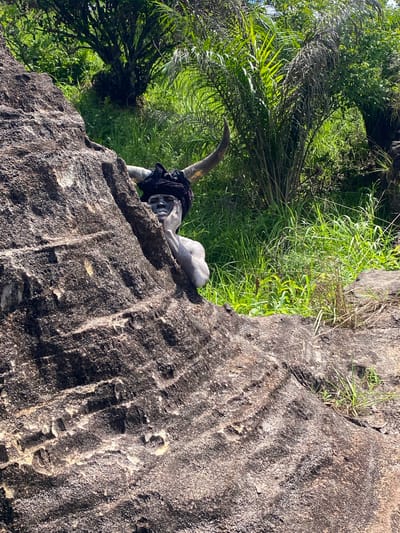 A statue of a person is located on a rock face. The statue is gray and appears to be wearing dark clothing. The statue is positioned near green vegetation and trees. The location is unknown.