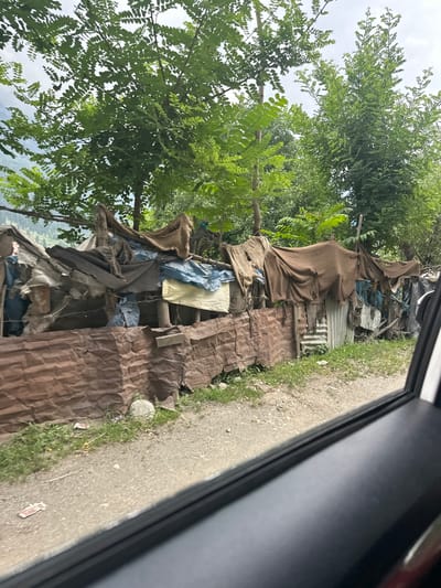 The image depicts a ramshackle structure constructed from corrugated metal sheeting and various fabrics, including tarpaulins and what appears to be burlap. The materials are haphazardly arranged and draped over a rudimentary frame, suggesting a makeshift dwelling or shelter. The corrugated metal forms the base of the structure, with uneven sheets bolted or tied together. Above this, layered fabrics create a roof and walls, with some sections appearing torn and weathered.
The surrounding environment is overgrown with greenery, with trees visible behind the structure. The ground in front of the shelter is a dirt path, with some sparse grass and small stones. Some debris, including what looks like wrappers, is scattered on the ground. The overall impression is one of poverty and makeshift living conditions. The image is taken from a slightly elevated perspective, possibly from within a vehicle, as indicated by the lower right corner showing a portion of a car door or window frame. There are no people visible in the image. The scene is characteristic of informal settlements or temporary encampments that might be found in rural or developing areas.