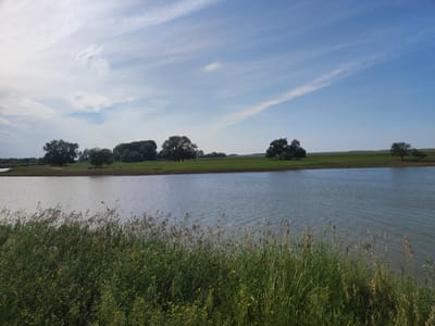 The image captures a tranquil natural scene of a wide river under a partly cloudy blue sky. The foreground is dominated by lush green grass and reeds, suggesting a rural or wild setting. The river, with its calm, rippling surface, reflects the sky and the distant landscape.
Across the river, a green grassy bank is dotted with several trees, some appearing as solitary figures and others clustered together. The trees vary in size and shape, with some having full, rounded canopies and others more spread out and windswept. In the middle ground, faint outlines of what appear to be structures or tents can be seen near the trees, hinting at human presence or a campsite. A dark object, possibly a vehicle, is also visible near the treeline on the left.
The sky is a blend of bright blue and wispy white clouds, with streaks of lighter cloud suggesting movement. The sunlight appears to be bright, indicating it is likely daytime, perhaps late morning or afternoon. The overall impression is one of peacefulness and natural beauty, with a sense of open space and quietude. The location context of Прибрежный ауылдық округі, Kazakhstan, suggests a steppe or riverine landscape. No visible text is present in the image.