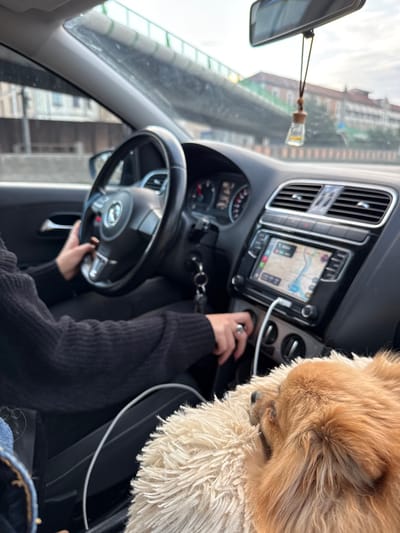 The image depicts the interior of a Volkswagen Polo, observed from the front passenger side, navigating a road in Bourg-lès-Valence, France. The driver, an individual wearing a black ribbed sweater, maintains control with their left hand on the steering wheel and their right hand positioned near the central console's gear shifter. A ring is visible on the right hand's fourth finger. Keys are suspended from the ignition.
The black dashboard features an instrument cluster with operational gauges and an infotainment system displaying a navigation map. The map shows a blue river, a road network, and the identifier "Bourg-lès-Valence" located to the southwest of the vehicle's plotted position. A white USB cable is connected below the screen. A small, clear glass bottle air freshener hangs from the rearview mirror.
On the front passenger seat, a small, light brown, long-haired dog rests, its head partially obscured and nestled into a fluffy, cream-colored cushion or blanket.
Outside the vehicle, an overcast sky is visible above an elevated green metal structure, likely a railway viaduct or road overpass, which stretches across the background. Beneath this, a grey concrete barrier runs alongside the road. Further beyond, distant buildings with reddish-brown roofs can be discerned. The scene indicates the car is traveling in an urban-industrial periphery, consistent with areas near the Rhône river and its associated infrastructure in Bourg-lès-Valence.