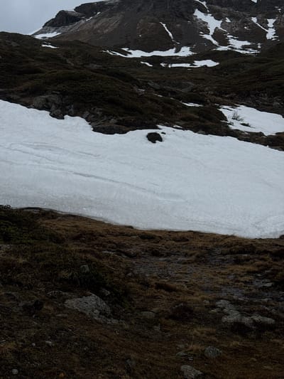 This media file captures a rugged, snow-covered mountain landscape in Poschiavo, Switzerland. The primary subjects are a large, elongated patch of white snow dominating the center, flanked by dark, steep mountain slopes.

The snow appears thick and somewhat uneven, with faint lines suggesting past meltwater channels or subtle drifts. To the left of the main snow patch, the mountain face is darker, featuring patches of snow interspersed among rocky terrain and sparse, dark vegetation, possibly moss or low-growing shrubs. On the right, the slope is characterized by brown, dry-looking grass and scattered rocks, giving way to darker, more rugged ground with fewer large snow patches.

No specific activity or event is taking place; the scene is a static depiction of a natural environment.

Notable details include the overcast sky, visible in the top left corner, which casts a diffused, even light across the scene, indicating daytime without direct sunlight. The presence of significant snow suggests either a high altitude or a cold season (late winter or early spring). There is no visible text in the image. The overall impression is one of a stark, natural, and remote mountainous region.