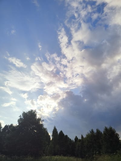 This media file depicts a landscape scene with a focus on the sky. The upper portion of the image is dominated by a dynamic sky filled with a mix of light and dark clouds. Patches of bright blue sky are visible, contrasting with the heavier, grayer clouds that suggest an approaching or receding storm. Sunlight breaks through the clouds in several areas, creating a dramatic and ethereal effect, illuminating the edges of the clouds with a soft glow. The time of day appears to be either late afternoon or early evening, given the quality of the light.
The lower portion of the image features a dense line of dark green trees, forming a silhouette against the brighter sky. These appear to be deciduous and coniferous trees, indicating a natural or semi-wild setting. A hint of lighter vegetation, possibly wildflowers or tall grass, can be seen in the very bottom foreground, adding a touch of wildness to the scene.
There are no people or distinct objects visible in the frame, focusing the attention entirely on the natural elements of the sky and the treeline. The overall mood is serene yet dramatic, perhaps evoking a sense of nature's power and beauty. The location context is Olenino, Russia, which is consistent with the type of forested landscape and sky depicted. No text is visible in the image.
