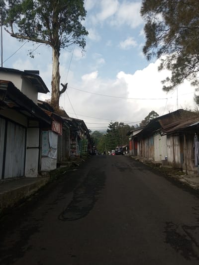 The image shows a narrow asphalt road in Mya Sit Kaing Ywar Thit, Myanmar, lined with weathered buildings. The buildings are mostly single-story, with corrugated metal roofs and closed storefronts. A tall tree dominates the left side of the road, its trunk close to one of the buildings. In the distance, a group of people and vehicles are visible. The sky is partly cloudy.
