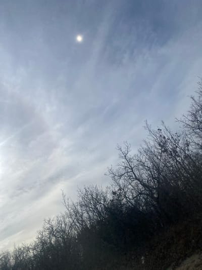 The image displays an outdoor scene in Varvarovka, Russia, characterized by a predominantly overcast sky and a line of bare trees. The upper two-thirds of the frame are filled with a cloudy sky exhibiting shades of grey and pale blue, with visible streaky and diffuse cloud formations. A bright, circular sun is visible in the upper left quadrant, partially obscured by clouds. The lower third of the image is occupied by a dense, dark band of leafless deciduous trees and brushwood, extending horizontally across the frame. The intricate, bare branches suggest a winter or late autumn season. Minimal, indistinct dry ground cover is visible along the very bottom edge. No people, specific actions, or man-made objects are discernible.