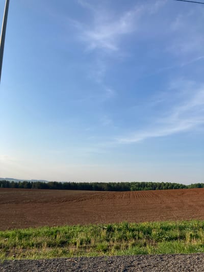 The image shows a rural landscape. A plowed brown field occupies the right side of the frame, bordered by a line of trees. To the right of the field, there is a strip of green grass and a section of a paved road. The left side of the image is dominated by a blue sky with wispy clouds. The location is specified as Verkh-Sosnova, Russia, but no further detail about this location is present in the picture. There are no people or other subjects visible.