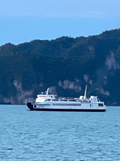 A white passenger ferry with several decks is sailing on calm, light blue water. The ferry has a dark hull and numerous windows along its side. A dark green, forested mountain range is visible in the background, with patches of lighter rock formations. The sky is a clear, pale blue. The image appears to be taken from another vessel or the shore in the vicinity of Thong Nian, Thailand.
