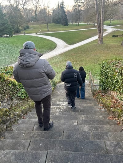 Three people are seen from an elevated perspective, standing on stone steps. One person wears a gray hooded jacket and dark pants. Another wears a black puffer jacket with "Psycho Bunny" printed on the back and is turned away from the camera. The third person is partially visible, wearing a dark jacket and jeans. A green lawn with bare trees is visible in the background. A path forks in the distance.