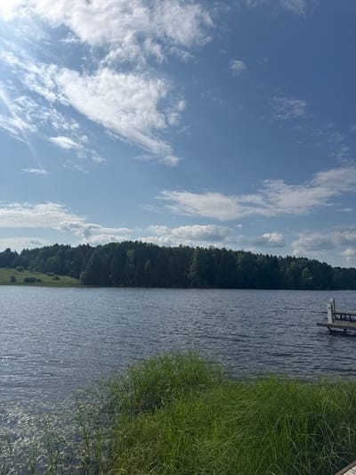 The image depicts a serene natural landscape, likely in the vicinity of Pozdyshki, Russia, characterized by a tranquil body of water, lush greenery, and a clear blue sky adorned with scattered white clouds. The foreground is dominated by tall, verdant grass growing along the water's edge, with a portion of a wooden dock visible on the right side. The middle ground features a calm, dark blue lake, reflecting the light of the sky. Beyond the lake, a dense, dark green forest stretches across the horizon, its trees forming a thick, undulating line. The sky above is a vibrant blue, punctuated by fluffy, white cumulus clouds that are brightly lit by the sun, casting subtle shadows and creating a sense of depth. The overall impression is one of peaceful natural beauty.