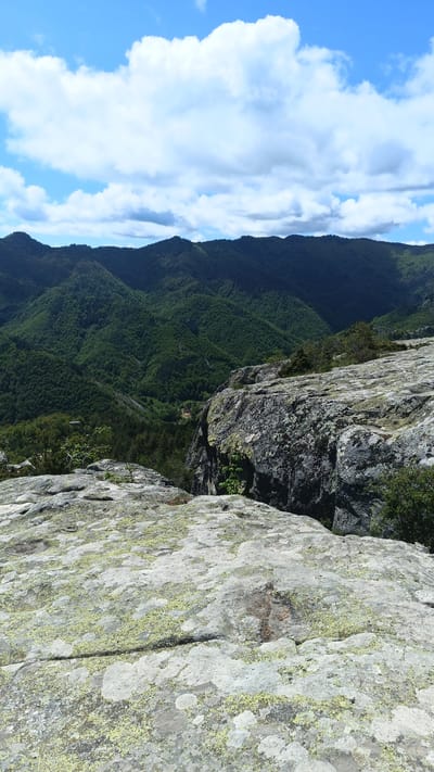 The image shows a mountain landscape in Sini Vrah, Bulgaria. In the foreground are lichen-covered rocks. Beyond the rocks is a steep drop-off leading to a valley covered in dense green forest. In the background are several mountain peaks with similar dense forest cover. The sky is blue with puffy white clouds. There are no people visible.