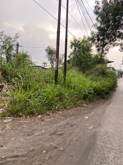 The image shows a dirt road with a grass verge on the left side. There are two telephone poles with electrical wires running overhead. The grass is overgrown and there are some trees in the background. There is a partially paved road on the right, with a small motorbike in the distance. The location is a rural area in Kecamatan Margaasih, Indonesia. The coordinates are -6.961 latitude and 107.536 longitude. The image shows a scene of an undeveloped area with few people. It is overcast with a hazy sky.
