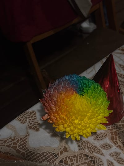 A rainbow-colored chrysanthemum sits on a lace-covered table next to a shiny red party hat. The flower has petals in shades of yellow, green, blue, and red. The background is dark and blurry, suggesting an indoor setting with dim lighting. The scene is likely a table setting in Zima Yuzhnaya, Russia, potentially for a celebration.