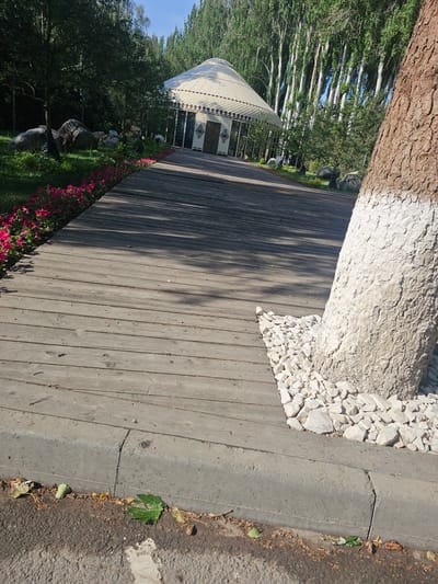 The image captures a pathway in Chong-Aryk, Kyrgyzstan, leading towards a yurt-like structure. The pathway is constructed from wooden planks and is bordered on the left by a line of vibrant pink flowers and lush green grass. To the right, a tree trunk, painted white at its base, stands prominently, surrounded by white stones. In the background, a dense line of tall, slender trees with green foliage forms a backdrop against a bright blue sky. The yurt, a traditional nomadic dwelling, is white with decorative brown patterns and has glass windows and doors. The scene appears to be a tranquil outdoor area, possibly a park or recreational space.