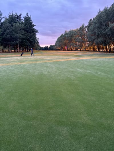 A golfer stands on a lush green course beside their golf bag. Trees line the left edge of the image, extending into the distance towards a red flag on the green. A hazy sky is visible above the trees. The grass is vibrant, with subtle stripes visible on the surface. The image is oriented sideways.