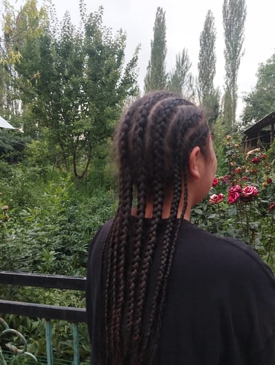 The image shows a person from behind, with their back turned to the camera, facing away into a lush garden. The person has dark hair styled in multiple braids that hang down their back. They are wearing a plain black t-shirt.

The setting is an outdoor garden, filled with abundant green foliage, including bushes, trees, and flowers. Specifically, there are several rose bushes with pink and red roses, some in bloom and some appearing past their prime. In the background, tall, slender trees are visible, and the sky is overcast, suggesting a cloudy day. There is also a hint of a wooden structure, possibly a shed or part of a building, to the right of the frame, and a dark metal fence in the foreground.

The person is looking into the garden, possibly admiring the flowers or enjoying the natural surroundings. The overall mood is peaceful and tranquil, with a focus on nature. The image appears to have been taken during daylight hours, given the visibility of the scene. There is no visible text in the image. The location context provided is Ак-Дөбө, Kyrgyzstan.