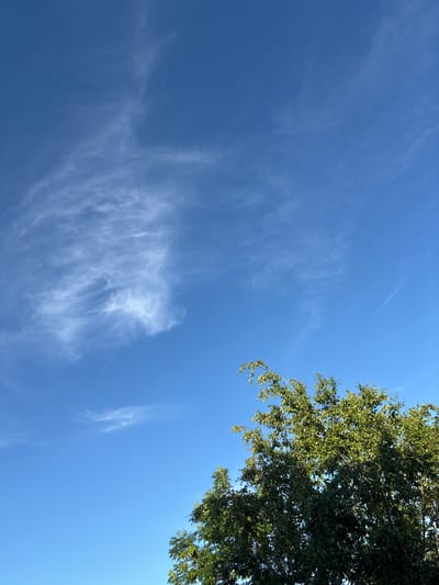 This media file depicts a clear blue sky with wispy white clouds. The top right corner of the image features the lush green foliage of a tree, suggesting an outdoor setting. The composition is dominated by the vast expanse of the sky, with the tree branches framing a portion of the upper right quadrant. The lighting indicates it is daytime, likely late morning or early afternoon, given the bright, clear conditions and the absence of long shadows. The presence of scattered, thin clouds suggests fair weather, possibly with a gentle breeze to create these ephemeral cloud formations. There are no discernible people or man-made objects in the frame, focusing the viewer's attention entirely on the natural elements of the sky and foliage. The scene evokes a sense of calm and openness, characteristic of a pleasant day. No text is visible in the image. The location context provided is Kohtla-Järve linn, Estonia, which aligns with a temperate climate where such clear skies and deciduous trees are common.