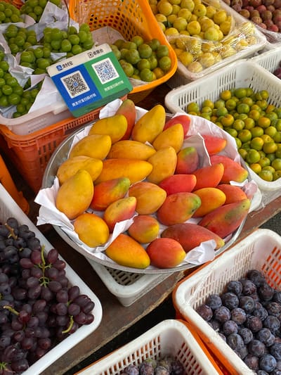 This image depicts a vibrant fruit stall in Chongzhou City, China, likely in a market setting given the abundance of fresh produce. The foreground is dominated by a variety of fruits arranged in white and orange plastic baskets. To the left, a large basket is filled with dark purple grapes, their skins glistening. Adjacent to the grapes, a metal platter holds a colorful assortment of mangoes, their skins ranging from bright yellow to deep red and orange, some with green blush. Behind the mangoes, to the right, a white basket overflows with small, green plums, and further back, a yellow plastic basket contains more of these small fruits, some wrapped in plastic. In the center of the image, a stand with two QR codes, likely for payment, is propped up amidst the fruits, featuring Chinese characters. The background reveals more fruit baskets, including a large orange one filled with green grapes on the left. The overall scene conveys a sense of abundance and the freshness of locally sourced produce, characteristic of a bustling Chinese fruit market.