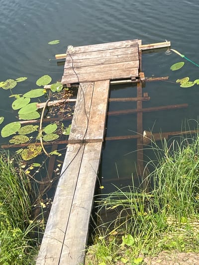 The image depicts a wooden pier extending into dark water. Lily pads are visible on the surface of the water, some with small yellow flowers. The pier is constructed of weathered wooden planks and appears to be partially submerged in places, supported by submerged wooden beams. Green grass and vegetation grow along the edge of the water where the pier meets the land. A black cable runs along the length of the pier. The water is calm and reflects the sky. The scene is set in Shachebol, Russia.