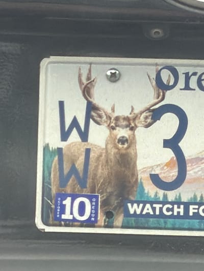 The image is a close-up, slightly angled photograph of an Oregon license plate mounted on a vehicle. The license plate features a graphic of a deer with large antlers in the foreground, with a mountainous landscape and evergreen trees in the background. The license plate text is partially visible, with the letters "W W" appearing twice, a large blue number "3", and the word "ORE" (likely the start of "OREGON") at the top right. A small blue sticker with the number "10" in white and the words "OCTOBER" and "OREGON" is affixed to the lower left of the license plate. The bottom right of the license plate has text that reads "WATCH FO", likely part of a longer phrase. The license plate is attached to the back of a dark-colored vehicle. No specific location within Beaverton, USA, is identifiable from the image itself.