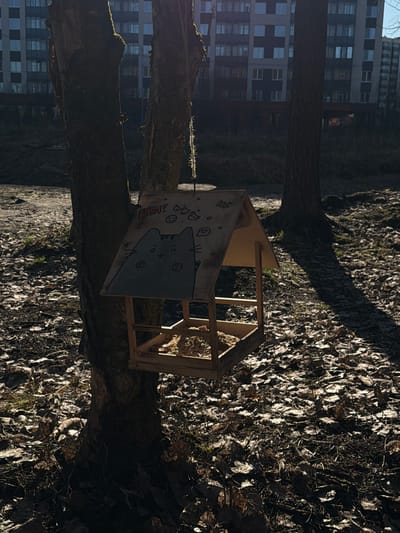 A birdhouse with a cartoon cat painted on its side is perched on a tree branch. The birdhouse is made of light-colored wood and has a simple, angular design. The painted cat is gray and white and appears to be stylized. The background consists of fallen leaves, branches, and the bark of the tree on which the birdhouse is situated. In the distance, there is a multi-story building with windows. The picture may have been taken in a park or wooded area, given the presence of trees and leaf litter. Location is Lavriki, Russia.