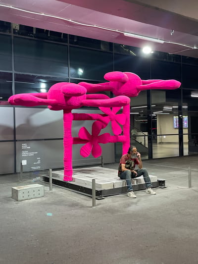 The image shows a vibrant, large-scale pink sculpture that appears to be made of yarn or a similar textured material. The sculpture has a playful, abstract form with large, rounded shapes resembling limbs or petals, and a central structure with flower-like elements.
In the background, two people are visible, one of whom is seated on a bench and appears to be taking a picture with a phone. The other person is leaning on the bench. They are dressed casually in jeans and t-shirts, with one person wearing white sneakers. The setting seems to be an outdoor or semi-outdoor public space, possibly an art exhibition or plaza, indicated by the modern architecture with large glass windows and the presence of a display stand with text.
The text on the display stand, visible in the lower right portion of the image, provides details about the artwork. It includes the title in both Croatian and English: "SUNCE NE BIRA KOGA GREJE" and "THE SUN DOES NOT DISTINGUISH WHOM IT WARMS." The artist's name, Jelena Blečić, and the year 2024 are also present. The context of Surcin Urban Municipality, Serbia, suggests this is a cultural installation in that area. The lighting suggests it might be evening or a dimly lit indoor space with artificial illumination.