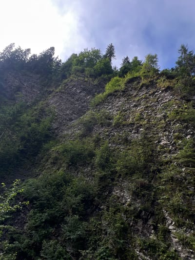 The image depicts a steep, rocky cliff face covered in dense green foliage and scattered trees, under a sky with scattered clouds and patches of blue. The rock formation appears layered and weathered. Several evergreen and deciduous trees are visible growing on the cliff, some reaching towards the sky at the top. The vegetation is lush and appears to be growing in the crevices and on the ledges of the rock. The overall scene suggests a natural, rugged landscape. The location is identified as a cliff face in Yasinya, Ukraine.