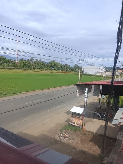 The image depicts a roadside scene in Manyang Cut, Indonesia. The foreground shows the edge of a corrugated metal roof. A paved road runs horizontally through the mid-ground, bordered by a vibrant green rice paddy field. In the background, lush vegetation and palm trees lead to a mountain range under a cloudy sky. A white and red telecommunications tower is visible on the left side of the frame. On the right side of the road, a small open-air establishment with a red roof is present. A motorcycle is parked nearby, and a trash can is visible. A sign advertising "SIMPATI" is displayed prominently. The overall impression is a rural or semi-rural setting.