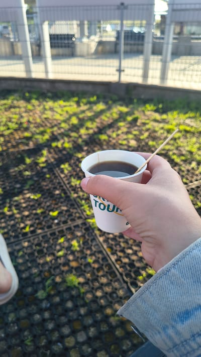 A close-up, first-person perspective shot shows a hand holding a white paper cup filled with dark liquid, presumably coffee, with a wooden stirrer. The cup has green and orange lettering that reads "GÓRA ŚW. ANN..." and "TOUR". The background is an outdoor scene with sunlight casting shadows on a patchy, green ground cover over a black grid-like surface. In the far background, a blurred fence and industrial-looking structures are visible, suggesting an urban or semi-urban environment. The individual is wearing a light blue denim jacket. The location is identified as Góra Świętej Anny, Poland.