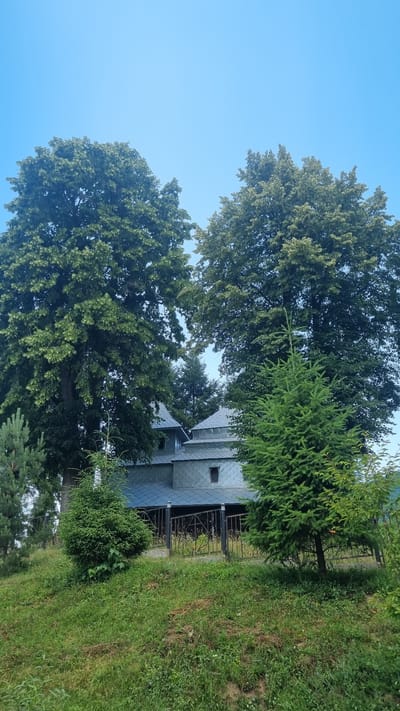 A wide shot captures a portion of a building with a slate-gray roof, two large trees with lush green canopies, and a smaller evergreen tree in the foreground. The building has multiple tiered roofs and visible windows. A black metal fence runs horizontally across the middle ground. The surrounding area is a grassy slope. The sky is a clear, bright blue. The scene is in Vyshka, Ukraine.