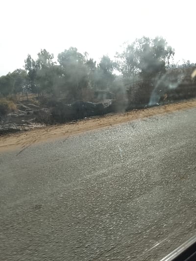 A roadside scene shows smoke rising from a fire on the shoulder. A line of trees is visible in the background, shrouded in smoke and haze. The foreground is dominated by the gray asphalt of a road, which appears slightly wet. The lighting is overcast, creating a somber atmosphere.