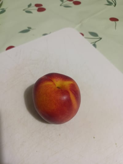 A single, ripe nectarine rests on a white cutting board. The nectarine is predominantly red with streaks of yellow and orange, and its smooth skin is visible. The cutting board exhibits subtle scratches, indicating its use. In the background, a light green fabric with a repeating pattern of red cherries and green leaves is visible. The image is taken from a slightly elevated angle. The location in Grudziądz, Poland, is not discernible from the visual information provided in the image.