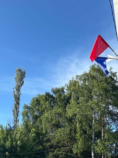 The image shows a clear blue sky with a few wispy clouds. In the upper left quadrant, there are three small flags strung together on a line, with a white structure visible above them. The flags are red, white, and blue. To the right of the flags, a dense canopy of green leaves from several trees dominates the frame. One tree in particular, taller and more slender than the others, stands out against the sky in the lower middle section. The overall impression is a bright, sunny day, likely outdoors in a wooded area, possibly in or near Vsevolodovo, Russia, given the context. No specific activity or event is clearly depicted, and no text is visible in the image. The lighting suggests it is daytime.