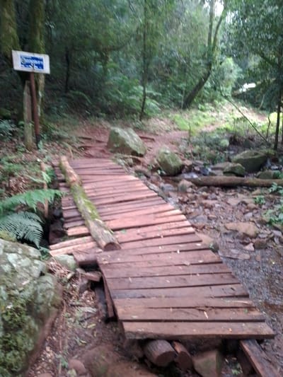 The image shows a narrow, wooden plank bridge spanning a small stream in a forested area near Villarrica, Paraguay. The bridge is constructed of rough-hewn planks and logs, with some planks appearing broken or missing. A moss-covered log rests along the side of the bridge. A signpost is visible to the left of the bridge. The surrounding environment is dense with vegetation, including ferns, trees, and moss-covered rocks. The streambed is rocky and contains scattered debris.
