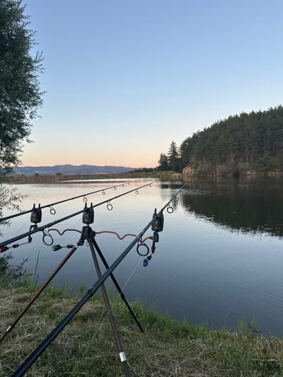 The image depicts a serene fishing scene by a lake at dusk, likely in or near Slavovitsa, Bulgaria. The foreground is dominated by fishing rods set up on a tripod, with bite alarms attached to each rod. The rods extend out over the calm water, which reflects the soft hues of the fading sky and the surrounding pine forest. The shoreline is covered in dry grass, suggesting a warm, dry season. In the background, rolling hills are visible, silhouetted against a pale sky. The overall atmosphere is one of tranquility and anticipation, characteristic of a peaceful fishing expedition. There are no people visible in the image.
