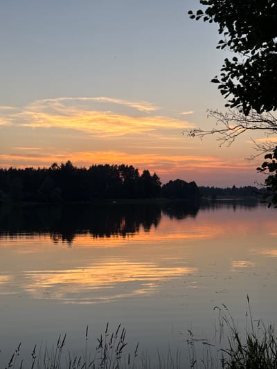 The image depicts a serene sunset over a lake in Kierwik, Poland. The sky is a gradient of pale blue at the top, transitioning to soft orange and pink hues near the horizon, with wispy clouds painted across it. A dense line of dark trees forms the silhouette of the shoreline, reflecting in the calm waters of the lake. The water's surface is smooth, with gentle ripples catching the colors of the sky, creating a mirror-like effect. In the foreground, tall grasses stand in silhouette along the water's edge, adding a touch of natural detail. A branch of a tree, silhouetted against the sky, extends from the upper right corner of the frame. The scene is devoid of any human presence or activity.