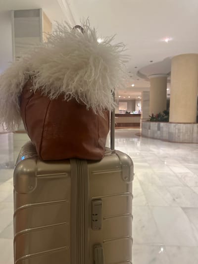 In a softly-lit hotel corridor, a silver suitcase stands ready for travel. Atop it rests a brown leather bag adorned with fluffy, white fringe. The corridor stretches into the distance, defined by marble floors and classical architectural columns. The scene evokes a sense of anticipation and luxury.
