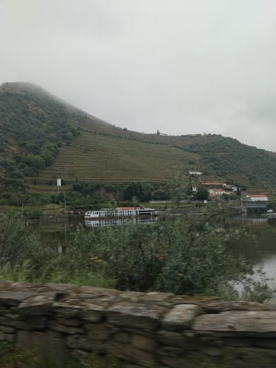The image depicts a landscape in Ervedosa do Douro, Portugal, under overcast and foggy conditions. A mountain covered with terraced vineyards dominates the scene, its peak obscured by fog. At the base of the mountain lies a river, reflecting the sky and surrounding landscape. Several riverboats or barges are docked along the riverbank. Buildings with red roofs are situated on the lower slopes of the mountain. In the foreground, a stone wall is visible, partially obscured by vegetation. The overall impression is one of a tranquil and rural landscape, characteristic of the Douro Valley.