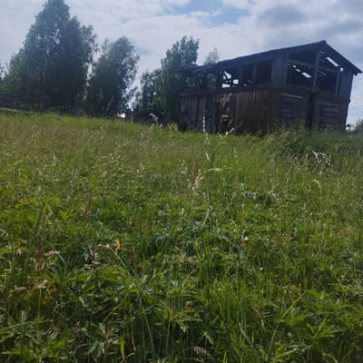 An abandoned wooden structure stands in a field of tall grass under a cloudy sky. The structure appears to be a two-story building, possibly a barn or a shed, with its roof partially collapsed and walls made of weathered wood. The surrounding environment is overgrown with green grass and various wild plants, suggesting a rural or abandoned setting. The sky is partly cloudy, with patches of blue visible between the white clouds. The overall impression is one of neglect and decay in a natural landscape. The location is indicated to be in the city of Кобь, Russia.