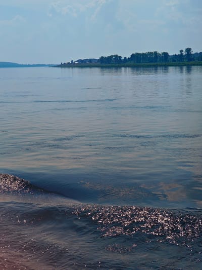 The image shows a wide expanse of calm water, likely a river or lake, with a tree-lined shore in the distance. The sky above is a pale blue with scattered clouds. In the foreground, the water exhibits gentle ripples and reflects the sunlight, creating a shimmering effect. The shore is dotted with trees and appears to have some buildings or structures visible. The overall scene is tranquil and natural, suggestive of a rural or semi-rural environment. The location is identified as Pogodaevo, Russia. There are no people or animals visible in the image.