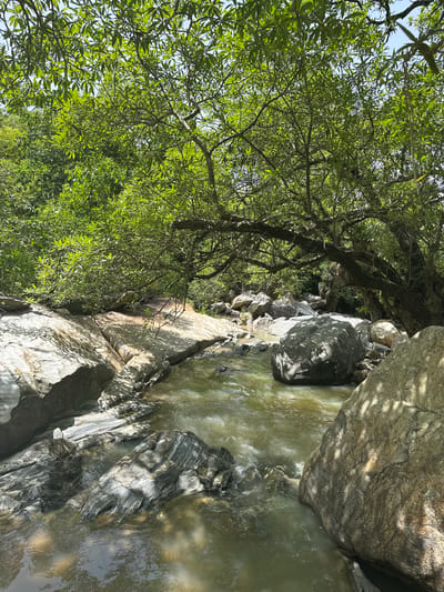 The image depicts a natural scene in Fobur, Nigeria, with a river flowing through a rocky landscape. Lush green trees with abundant foliage dominate the left side of the frame, with sunlight filtering through their branches, casting dappled shadows on the rocks and water. Large, weathered boulders, some with distinct striations, line the riverbanks and are partially submerged in the water. The river itself appears shallow and somewhat murky, with visible currents and small ripples. The overall impression is one of a serene, natural environment, likely captured during daylight hours given the brightness and shadows. There is no visible text in the image.