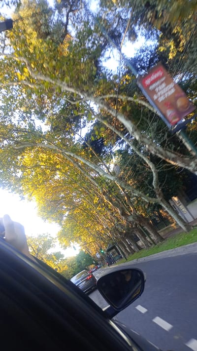 The image is taken from inside a car, likely on a road in Beccar, Argentina, as evidenced by the car's license plate. The view looks out the driver's side. A gray car is visible behind, with its license plate partially obscured. A McDonald's advertisement sign is visible above and to the right. Trees with yellow leaves line the street. A bus stop and a green traffic light are also visible further down the road. The car appears to be in motion. A hand is visible outside the window.