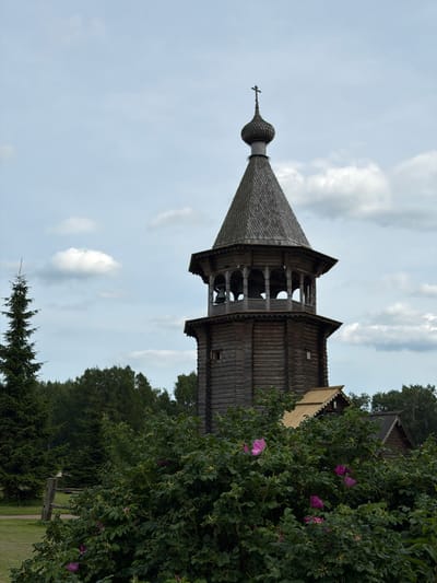 In Nevskii Parkleskhoz, Russia, a wooden bell tower stands tall against a cloudy sky. The tower, made of dark logs, features an octagonal structure with open arches at the top, revealing bells within. A dark, conical roof topped with a cross crowns the structure. In the foreground, lush green bushes with vibrant pink flowers partially obscure the base of the tower. To the left, a tall evergreen tree stands sentinel, and beyond that, a wooden fence encloses a grassy area. Further back, more trees and the roofs of other wooden buildings are visible. The overall scene is one of rural charm and traditional architecture.