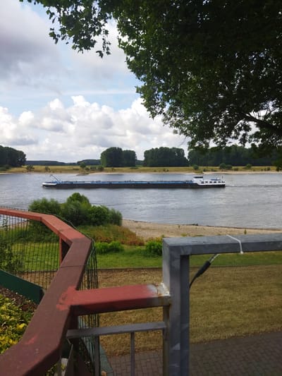 This is a medium shot, outdoor photograph taken on a cloudy day. In the foreground, a weathered red metal railing and a portion of a grey metal railing with a white zip tie securing a cable are visible. Beyond the railing, a body of water, likely the Rhine River, stretches across the midground. A long barge with a white superstructure is navigating the river. The far bank of the river features a sandy shore, green vegetation, and a dense line of trees. In the upper portion of the image, a large tree with dark green leaves partially obstructs the view of the sky, which is filled with white and grey clouds. This scene is located in Monheim am Rhein, Germany.