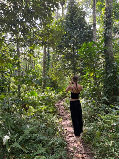 In Jurit Baru, Indonesia, a young woman with braided hair stands on a dirt path, taking a photograph with her phone. She is wearing a black crop top and long black pants, with tan, open-toed shoes. She is surrounded by a lush, green forest, with dense foliage, ferns, and tall trees. Sunlight filters through the canopy, illuminating the path and the vegetation. The scene depicts a peaceful moment of exploration and appreciation of nature in a tropical environment.